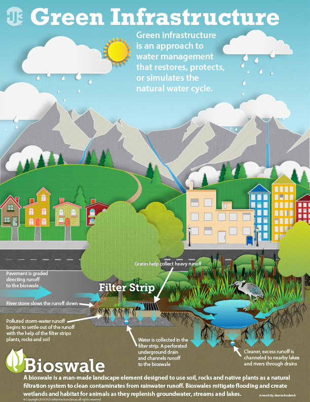 Bioswale and wastewater infographic